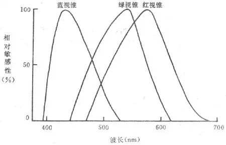 人视网膜中三种不同视锥细胞的光谱相对敏感性关系